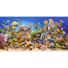 Puzzle Castorland 4000 Underwater Life (C-400089)