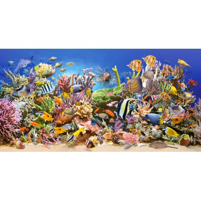 Puzzle Castorland 4000 Underwater Life (C-400089)