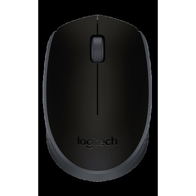 Компьютерная мышь Logitech M171 Black