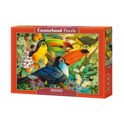 Puzzle Castorland 3000 Interlude (C-300433)