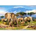 Puzzle Castorland 1000 Kilimanjaro Morning (C-103188)