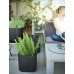 Ghiveci Keter Cube Planter M Anthracite (230227)