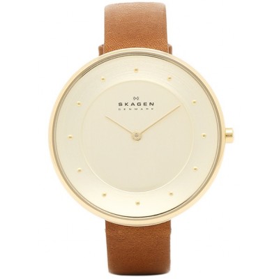 Наручные часы Skagen SKW2138