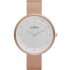 Наручные часы Skagen SKW2142