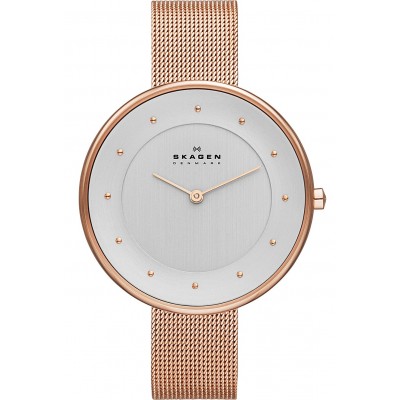 Наручные часы Skagen SKW2142