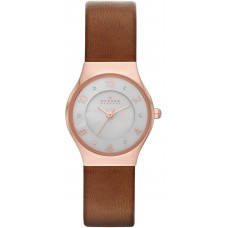 Наручные часы Skagen SKW2210