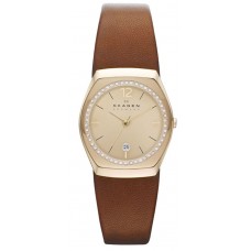 Наручные часы Skagen SKW2258