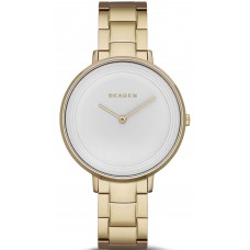 Наручные часы Skagen SKW2330