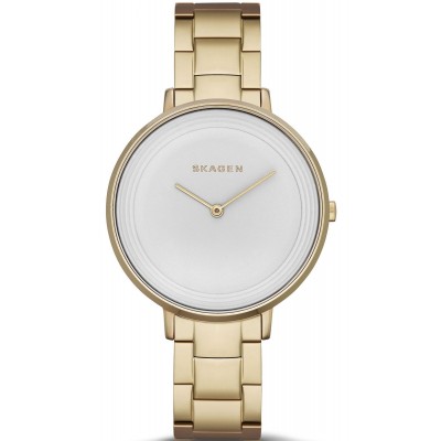 Наручные часы Skagen SKW2330