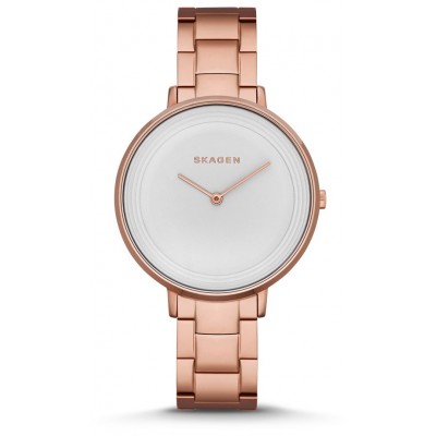 Наручные часы Skagen SKW2331