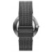 Наручные часы Skagen SKW6108