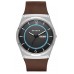 Наручные часы Skagen SKW6305