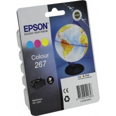 Картридж Epson C13T26704010