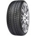 Шина Gripmax Status Pro Winter 235/30 R20 88V