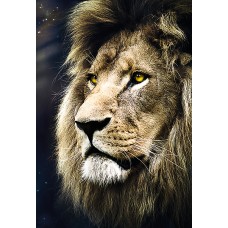 Пазл Trefl 1500 Lions portrait (26139)