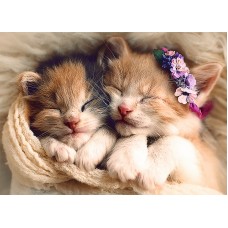 Пазл Trefl 500 Sleeping Kittens (37271)