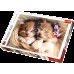 Puzzle Trefl 500 Sleeping Kittens (37271)