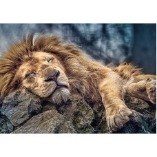 Пазл Trefl 1000 Sleeping lion (10447)