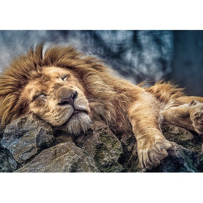 Пазл Trefl 1000 Sleeping lion (10447)