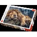 Пазл Trefl 1000 Sleeping lion (10447)