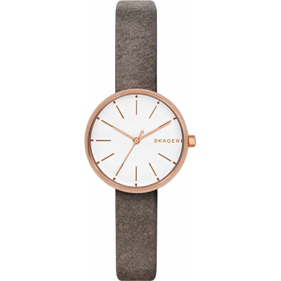 Ceas de mână Skagen SKW2644