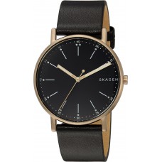 Наручные часы Skagen SKW6401