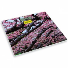 Напольные весы Maestro MR-1823