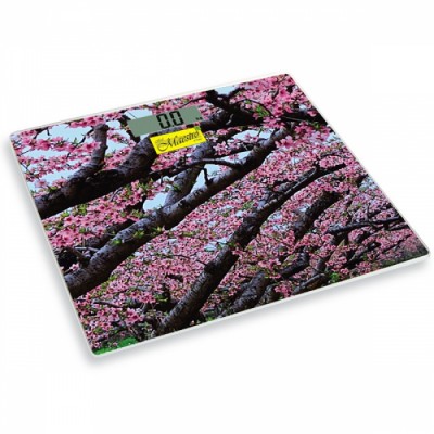 Cântar de podea Maestro MR-1823