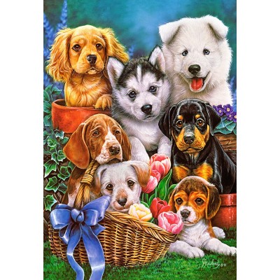 Puzzle Castorland 1000 Puppies (C-104048)