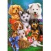 Puzzle Castorland 1000 Puppies (C-104048)