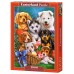 Puzzle Castorland 1000 Puppies (C-104048)