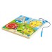 Лабиринт Hape Magnetic Maze (E1709A)