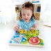 Лабиринт Hape Magnetic Maze (E1709A)