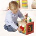 Busy Board Hape Discovery Box (E1802A)