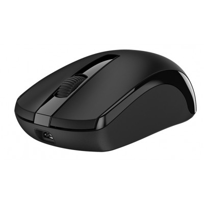 Mouse Genius ECO-8100 Black