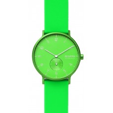 Наручные часы Skagen SKW6556