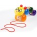 Игрушка каталка Baby Einstein Inch Along Cal (11655)