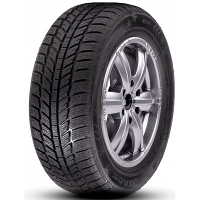 Шина Roadx Frost WH01 195/55 R16 87H