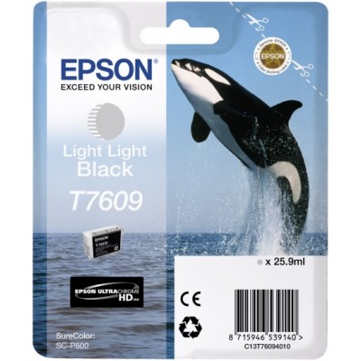 Cartuș Epson C13T76094010 Light Light Black