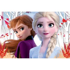 Puzzle Trefl 60 Frozen 2 The Enchanted World of Anna and Elsa (17333)