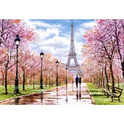 Puzzle Castorland 1000 Romantic Walk In Paris (C-104369)