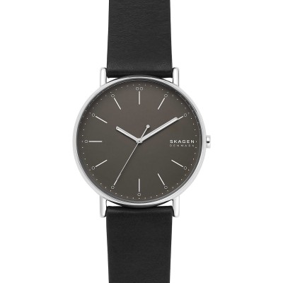 Наручные часы Skagen SKW6528