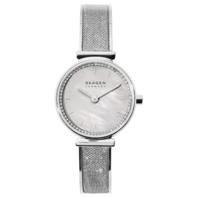 Наручные часы Skagen SKW2793