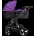 Carucior Bebumi Space Black Eco 2in1 Purple