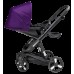 Carucior Bebumi Space Black Eco 2in1 Purple