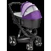 Carucior Bebumi Space Black Eco 2in1 Purple