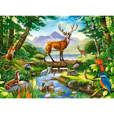 Пазл Castorland 300 Woodland Harmony (B-030408)