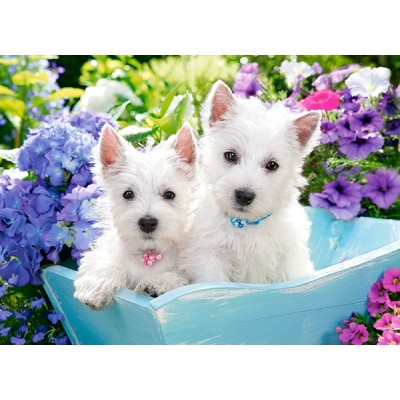 Пазл Castorland 200 Westie Puppies (B-222032)