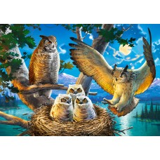 Пазл Castorland 500 Owl Family (B-53322)