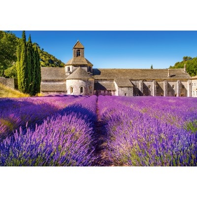 Puzzle Castorland 1000 Lavender Field In Provence. France (C-104284)